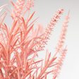 33  Dried Wheat Grass Spray: Pink Cheap