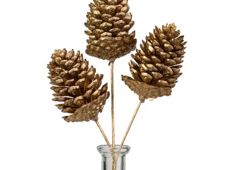 12  Metallic Pinecone Pick: Gold For Cheap