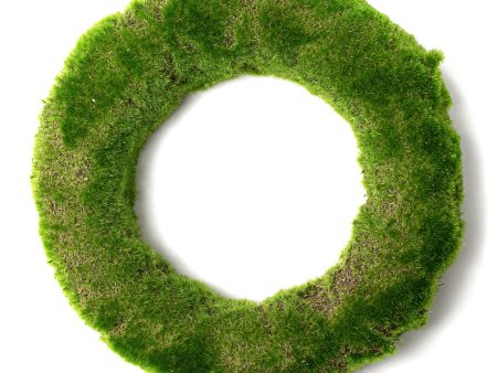 12  Cushion Moss Wreath Discount