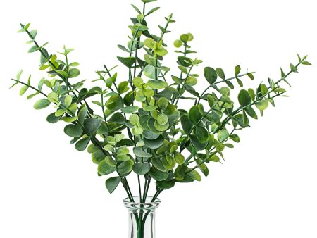 13  Eucalyptus Bush For Cheap