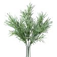 12  Rosemary Bush Discount