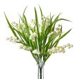 12  Lily of the Valley Bush Discount