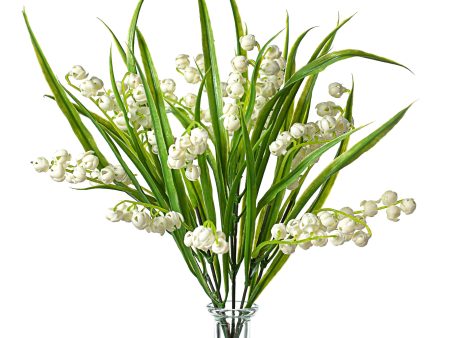 12  Lily of the Valley Bush Discount