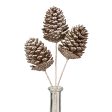 12  Metallic Pinecone Pick: Champagne Online Sale