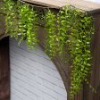 6  Hanging Fern Garland Discount