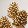 12  Metallic Pinecone Pick: Gold For Cheap