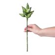 13  Seed Pod Cluster Pick: Sage Green Hot on Sale