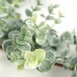 6  Frosted Eucalyptus Garland Online