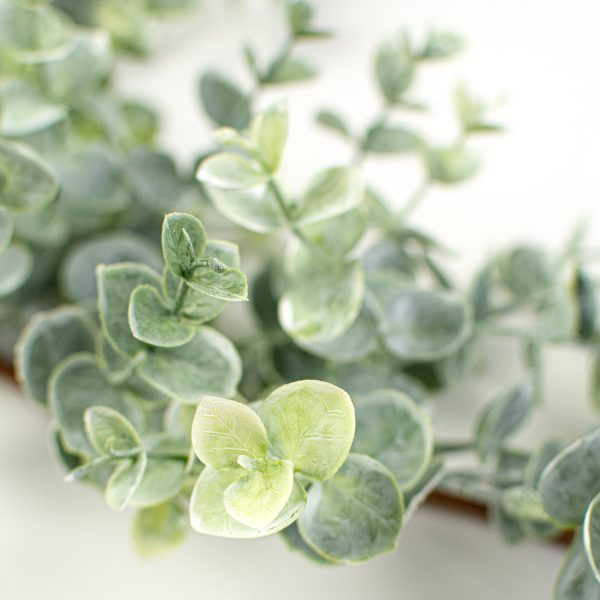 6  Frosted Eucalyptus Garland Online