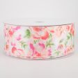 2.5  Watercolor Roses Ribbon: Blush (50 Yards) Cheap