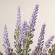 12  Lavender Bundle Supply