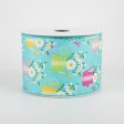 2.5  Watering Can Ribbon: Aqua (10 Yards) Supply