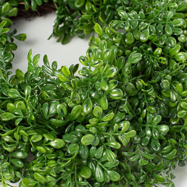 20  Boxwood Twig Wreath Supply