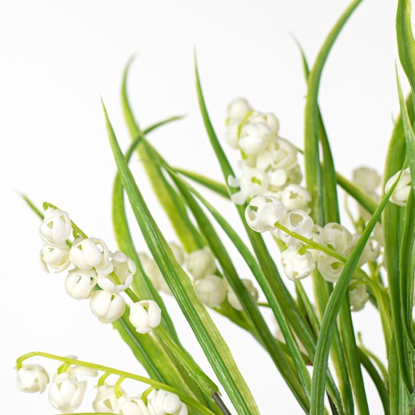 12  Lily of the Valley Bush Discount