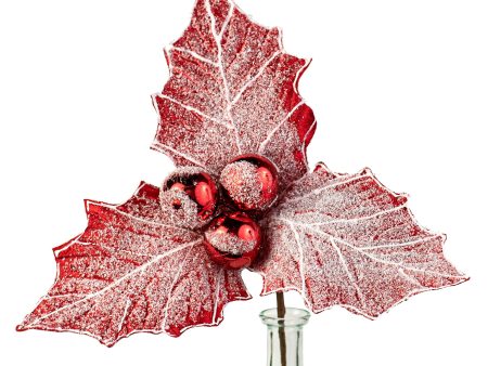 13  Jumbo Frost Holly Berry Pick: Red & White For Discount