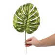 13-17  Glitter Split Leaf Philodendron Bundle: Lime Green (3) For Cheap