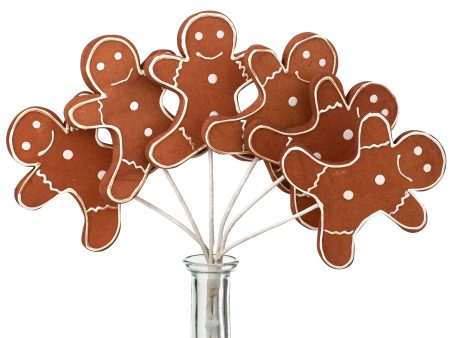 12  Gingerbread Man Picks (6) Online now