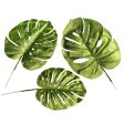 13-17  Glitter Split Leaf Philodendron Bundle: Lime Green (3) For Cheap